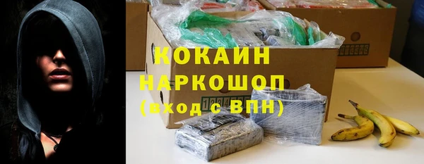 кокс Алексин